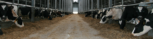 Полы для животноводческого и сельского хозяйства